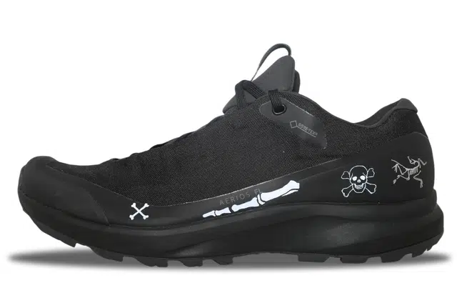 Arcteryx AERIOS FL GTX