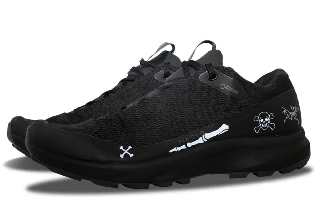 Arcteryx AERIOS FL GTX