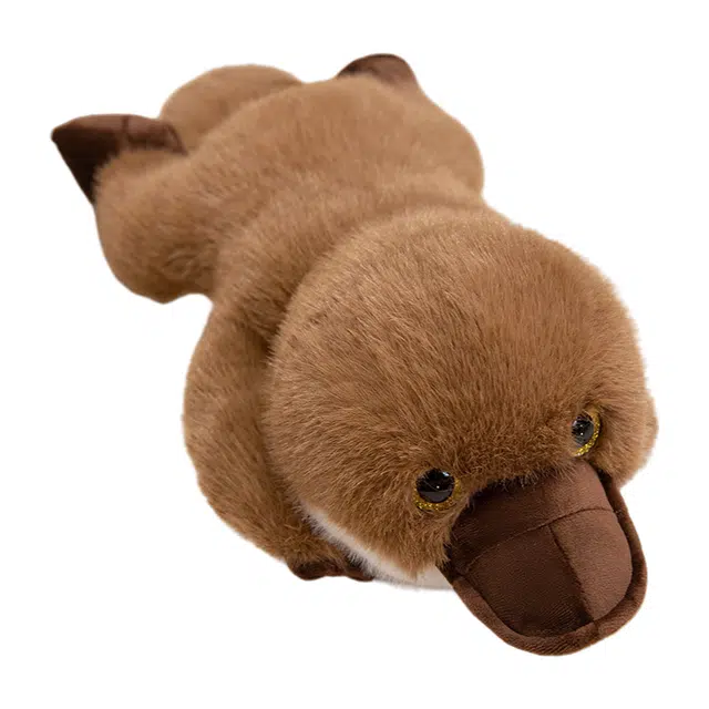 JBBCN 55cm80cm
