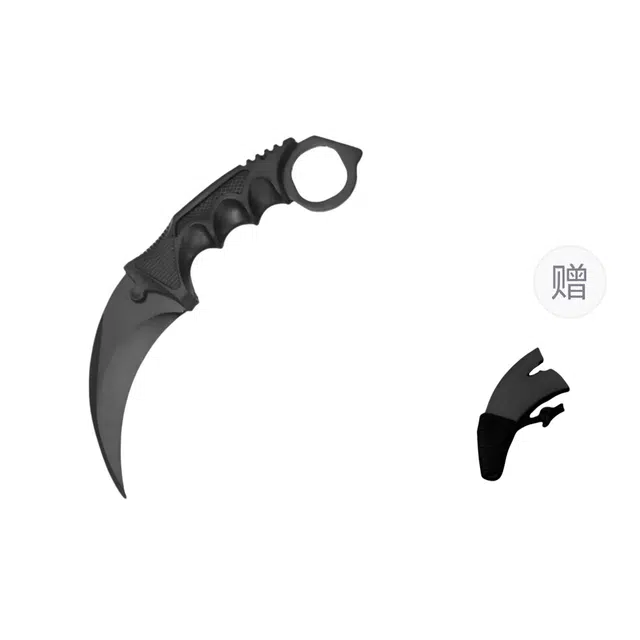 CS2