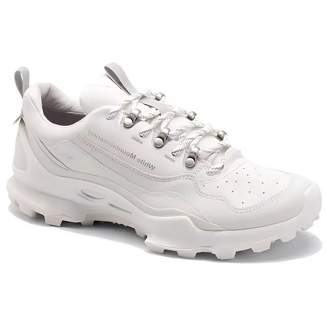 White Mountaineering ecco Biom C Trail