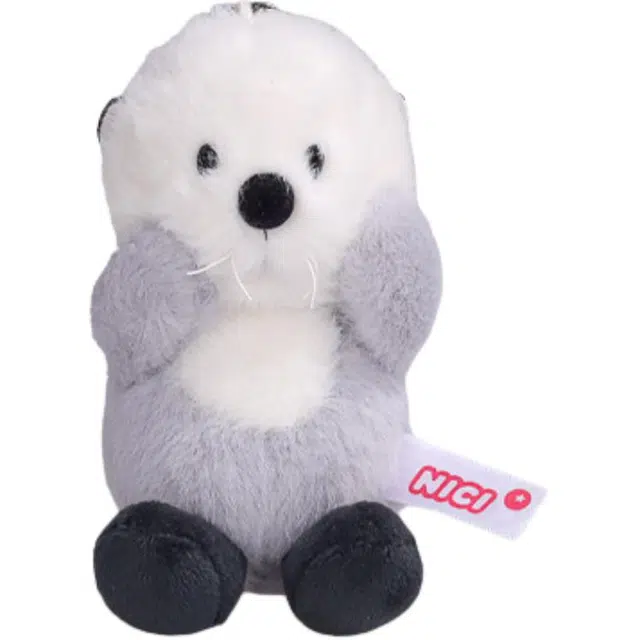 NICI 10cm