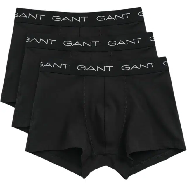 GANT 3