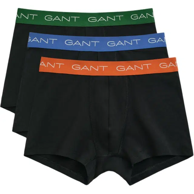 GANT 3