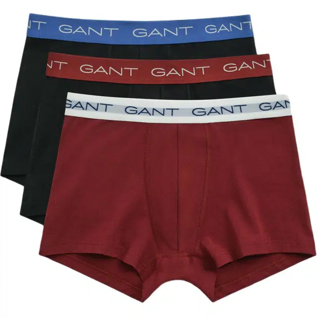 GANT 3