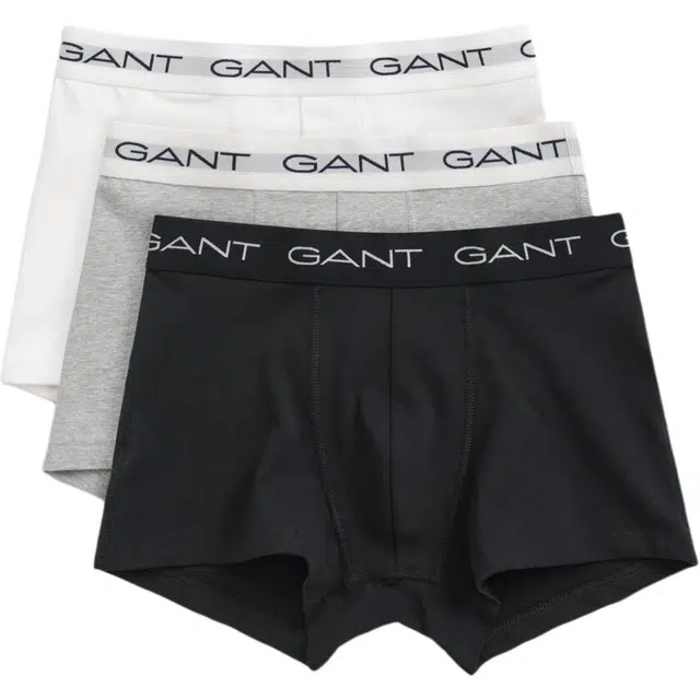 GANT 3