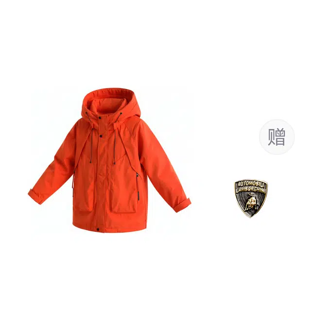 Automobili Lamborghini