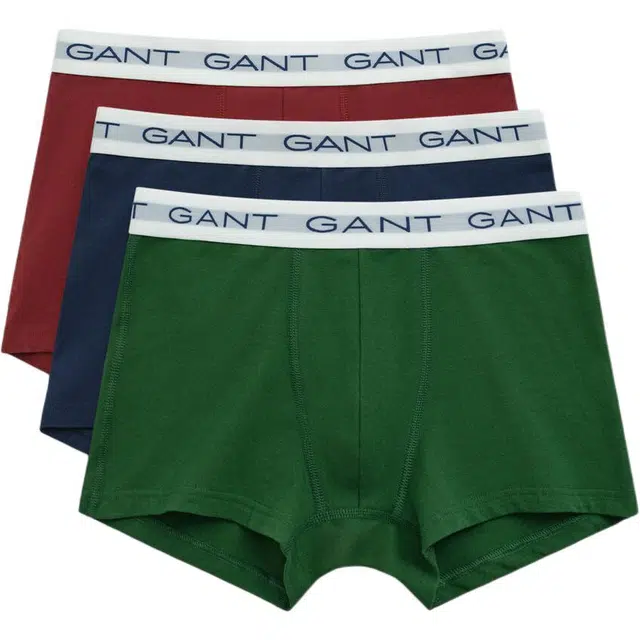 GANT 3