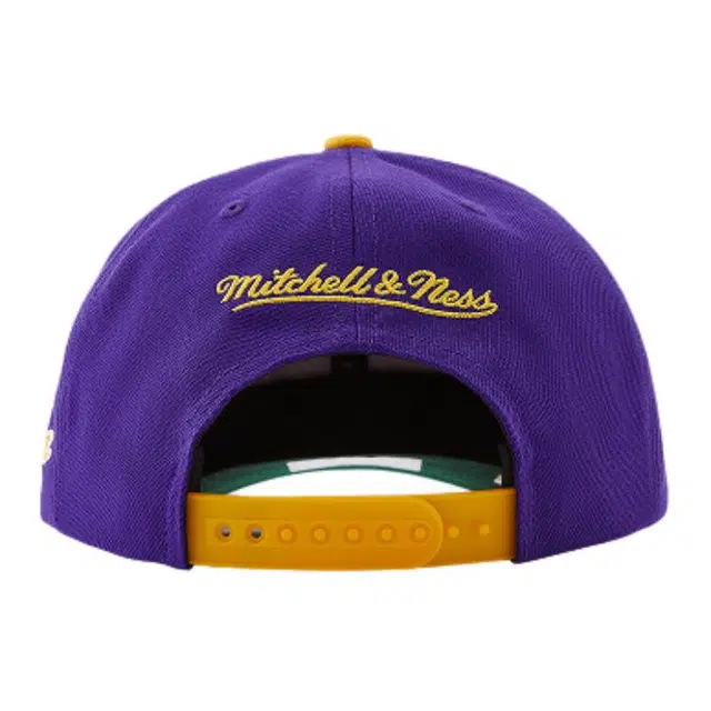 Mitchell Ness Lifestyle 100