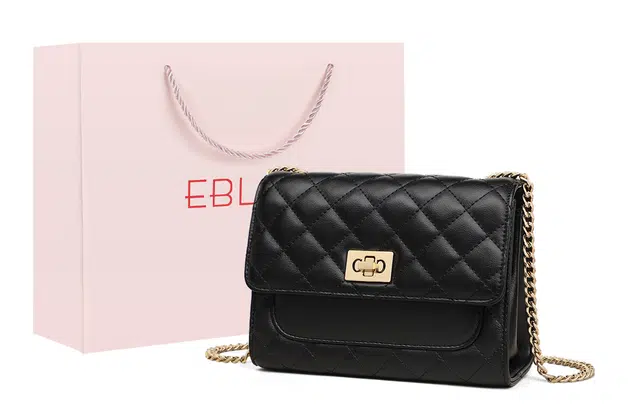 EBLAN ins