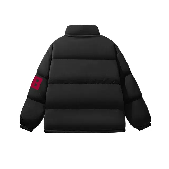 INS