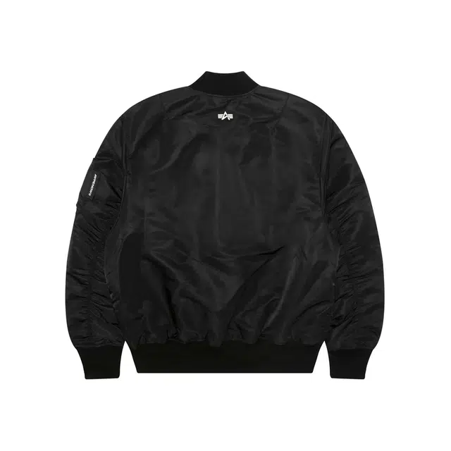 Aape x Alpha Industries FW25
