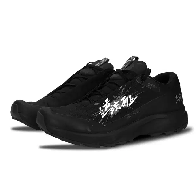 Arcteryx AERIOS FL GTX
