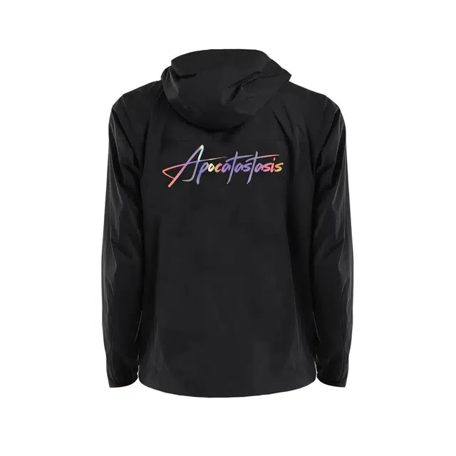 Arcteryx Squamish Hoodylogo