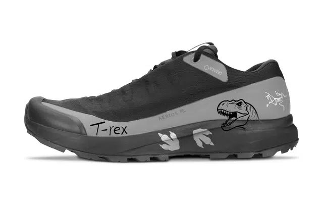 Arcteryx Aerios FL GTX