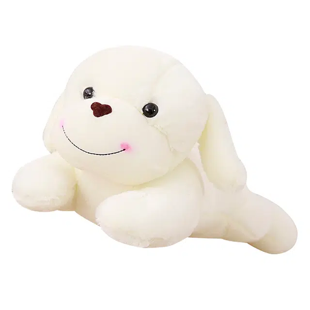 30cm40cm50cm60cm80cm100cm120cm
