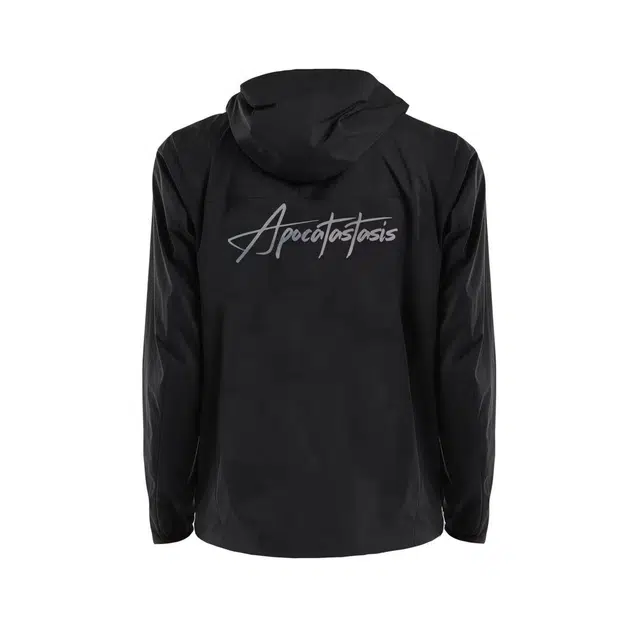 Arcteryx Squamish Hoodylogo