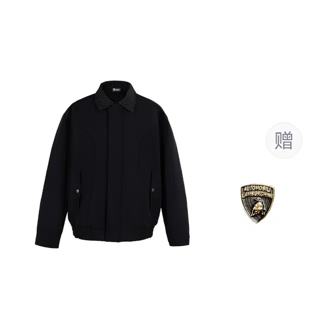 Automobili Lamborghini