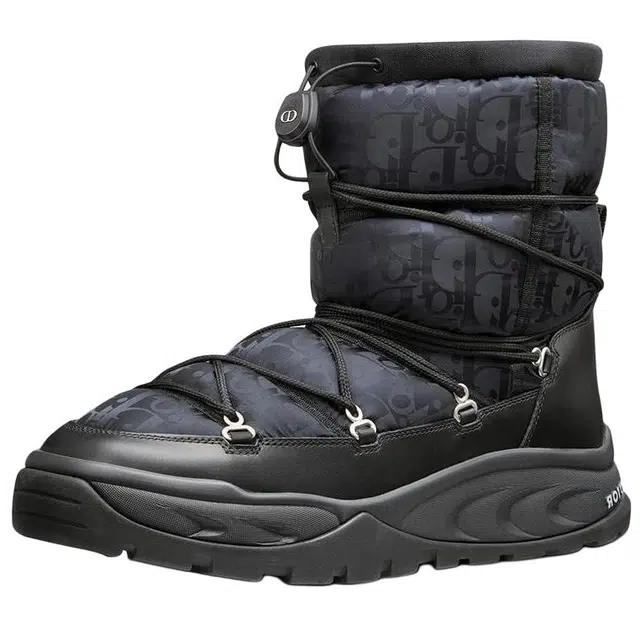 DIOR Snow
