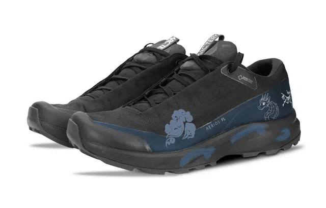 Arcteryx Aerios FL GTX