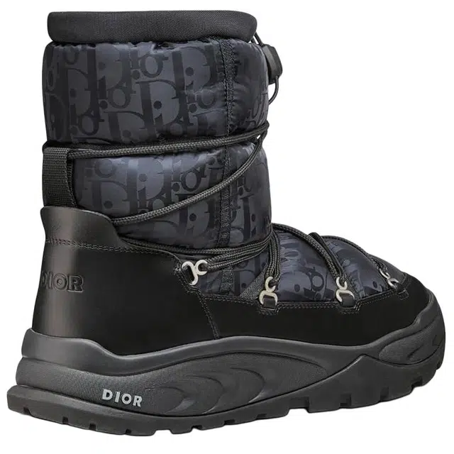 DIOR Snow