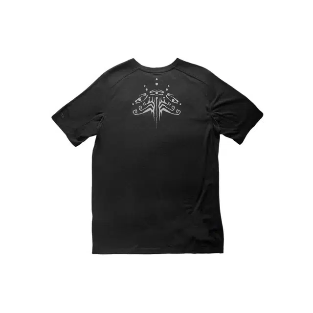 Arcteryx Ionia Merino Wool logoT