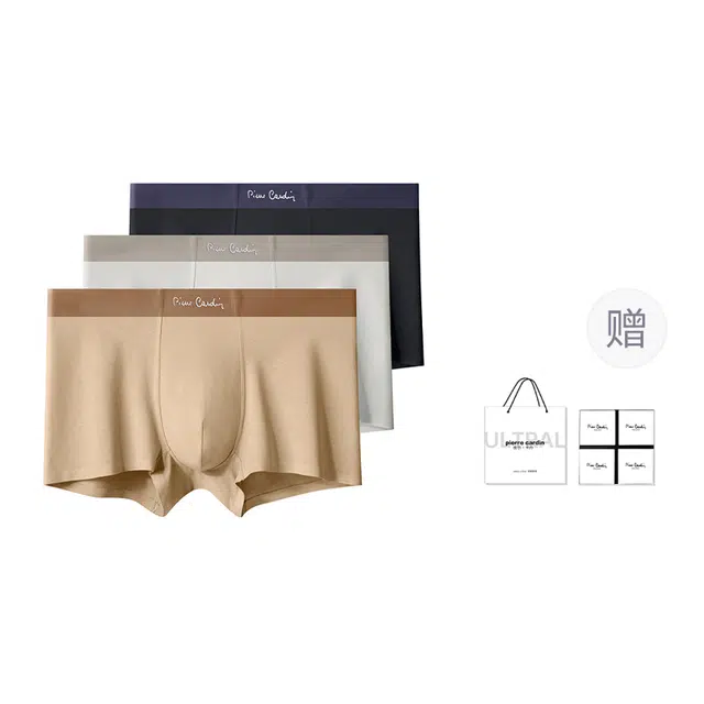 PIERRE CARDIN 10A