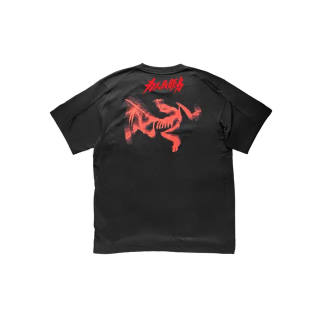 Arcteryx KRAGG SLLogoT