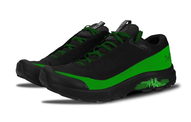 Arcteryx AERIOS FL GTX