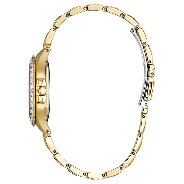 CITIZEN 50 PVD