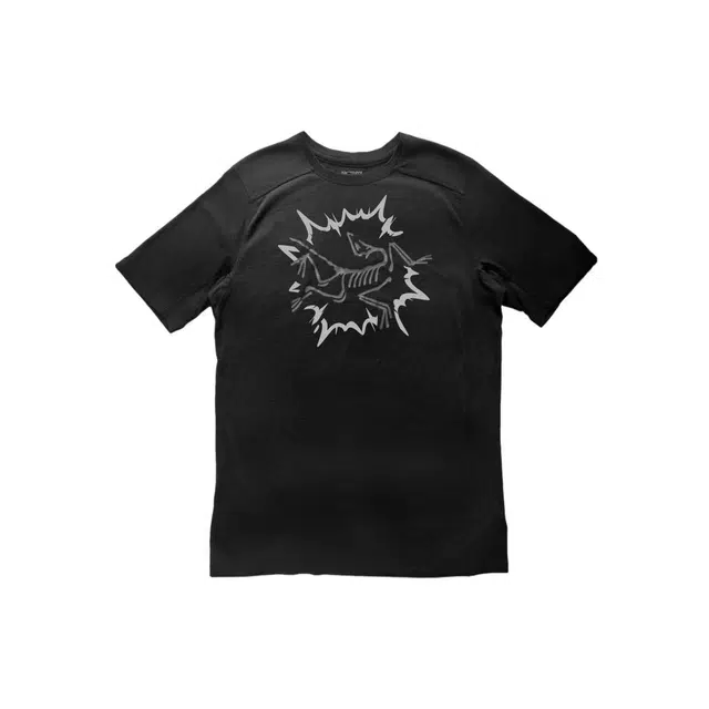 Arcteryx Ionia Merino Wool BOOMlogoT