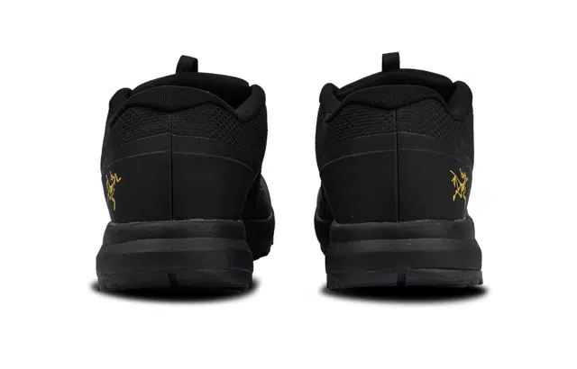 Arcteryx Aerios Fl 2