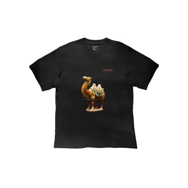 Arcteryx KRAGG SL LogoT