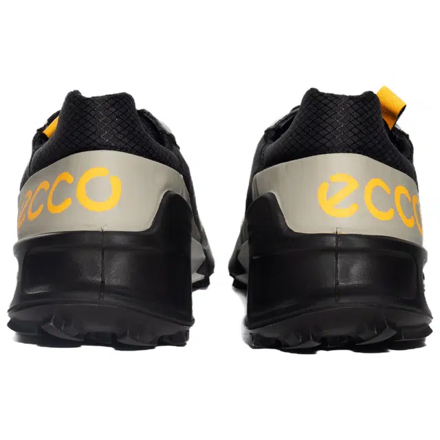 ecco