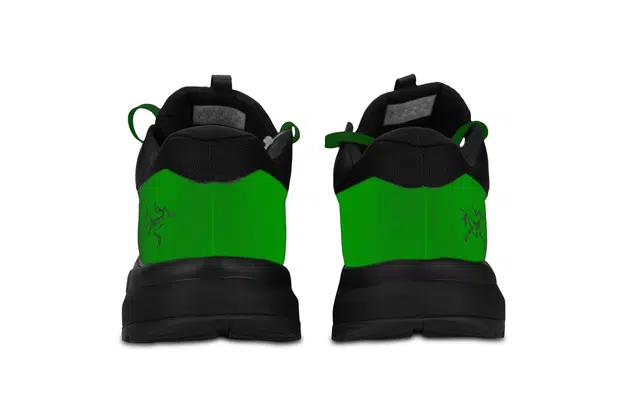 Arcteryx AERIOS FL GTX