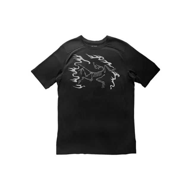 Arcteryx Ionia Merino Wool logoT