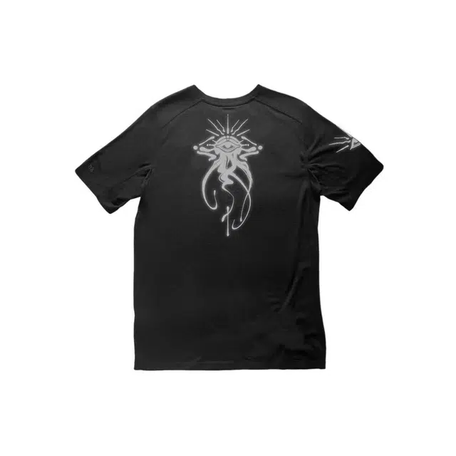 Arcteryx Ionia Merino Wool logoT