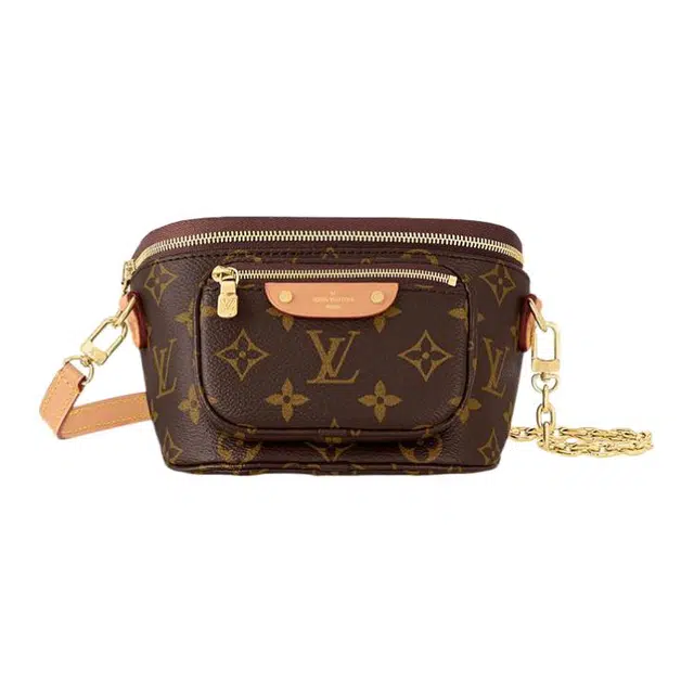 LOUIS VUITTON Bumbag