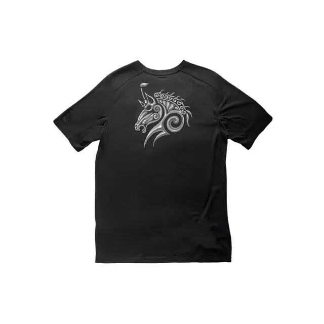 Arcteryx Ionia Merino Wool logoT