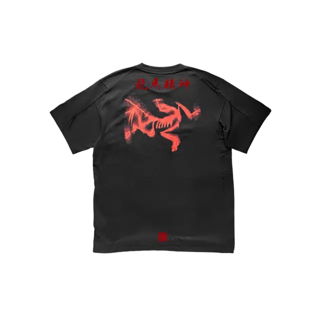 Arcteryx KRAGG SL LogoT