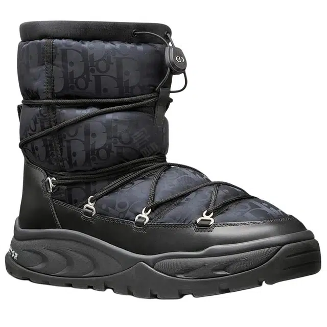 DIOR Snow