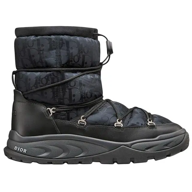 DIOR Snow