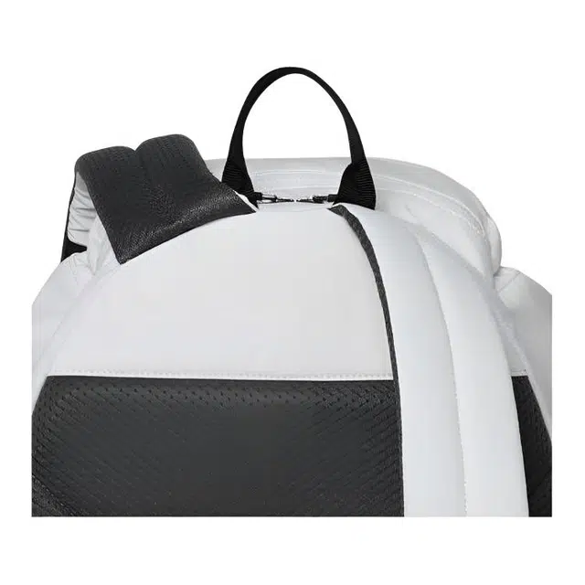Wilson 22L