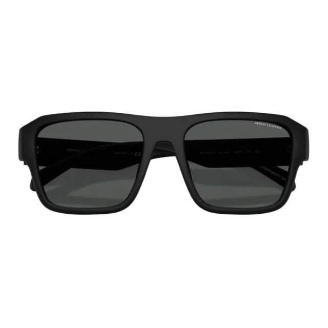 ARMANI EXCHANGEAE Logo 4154SU