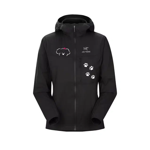 Arcteryx Squamish HoodyLogo