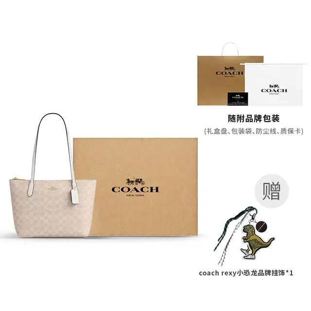 Coach Fiona 24 Tote Bag Small Beige