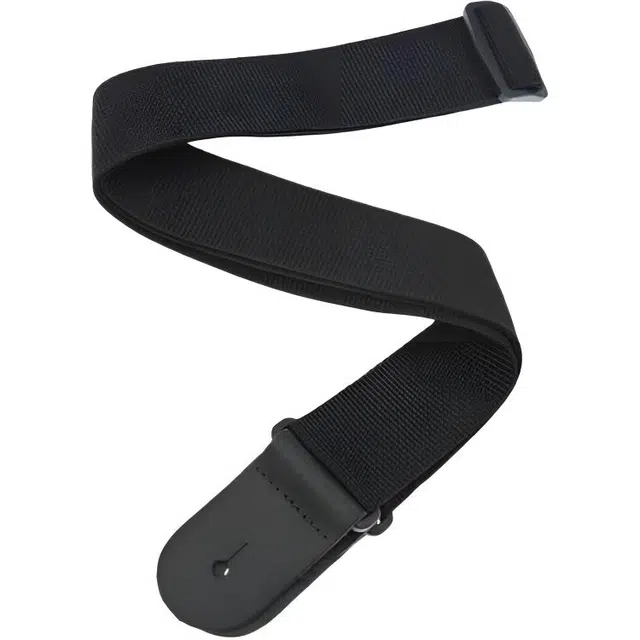 D'Addario PWS