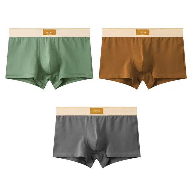 潞优野 高级感纯棉男士男生日系裤头男式短裤裤衩平角内裤 男款