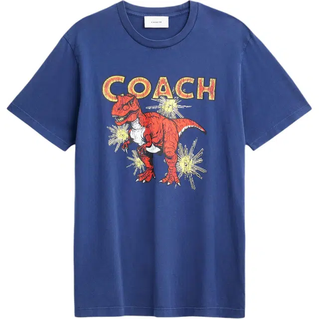COACH FW25 T