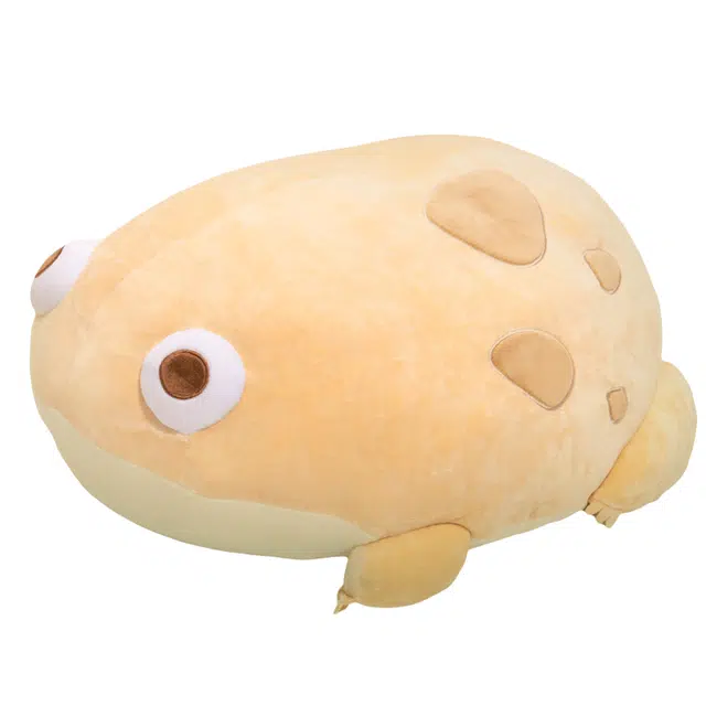 28cm40cm